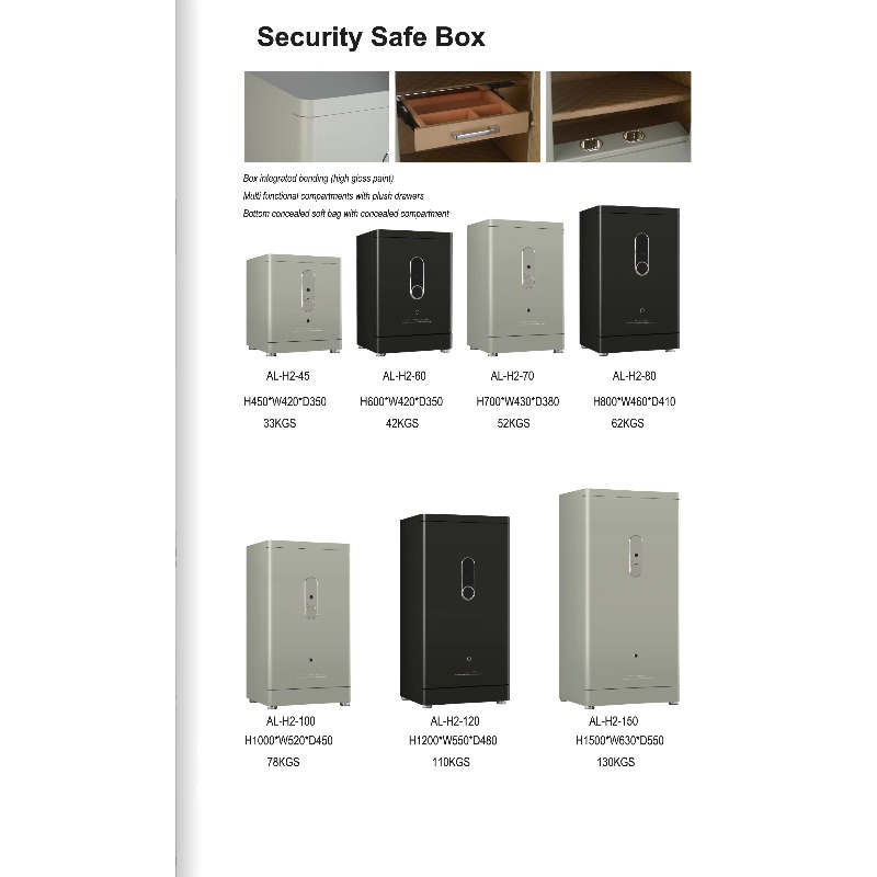 【2026】AL-H2 Series High Qualit - Home Security Lock System review and price