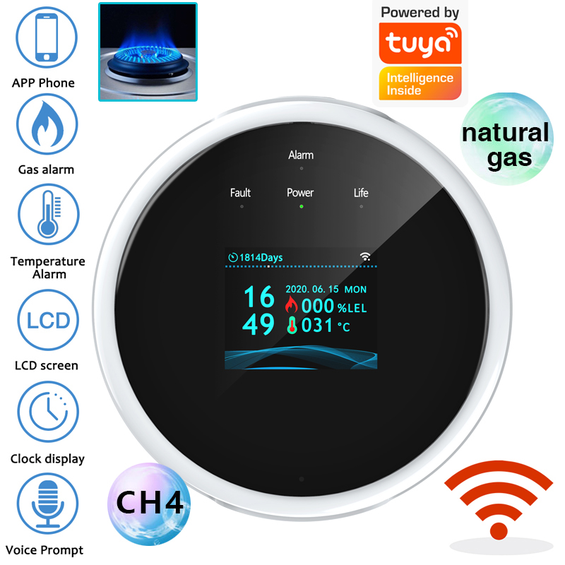 2.4G WiFi Gas Alarm Sensor Com - Home Security Monitoring review and price